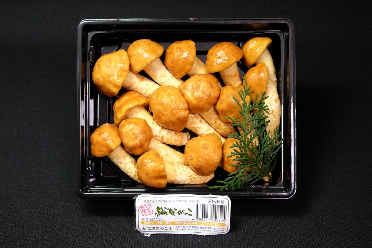 松茸によく似た話題のキノコの味 フード＆ドリンク クールシニアマガジン